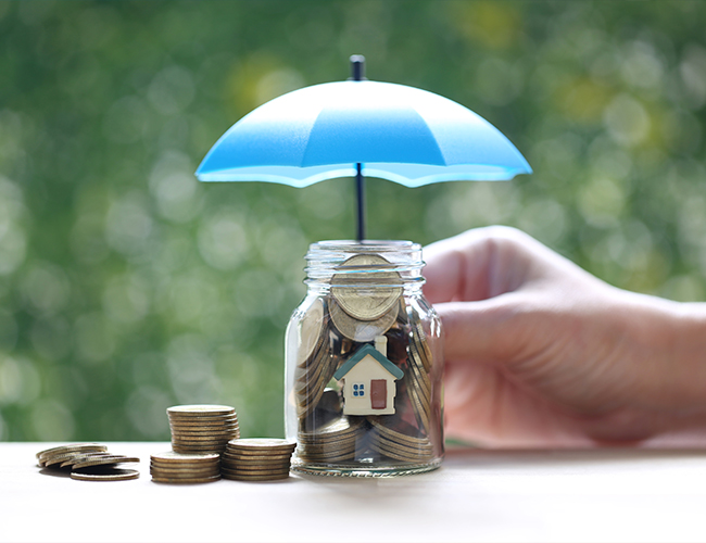 Wealth Protection Solutions